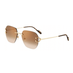 C Marrone/Oro Marrone