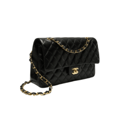 Alternative view of Borsa Classica
