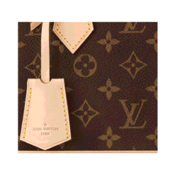 Monogram Canvas Alma BB