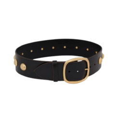 Cintura Midnight